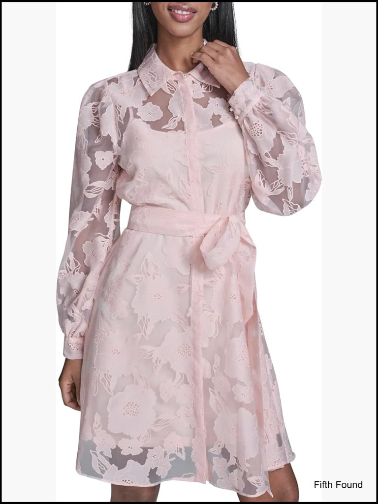 Long Sleeve Collared Organza Overlay Mini Dress With Belt